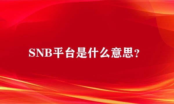 SNB平台是什么意思？