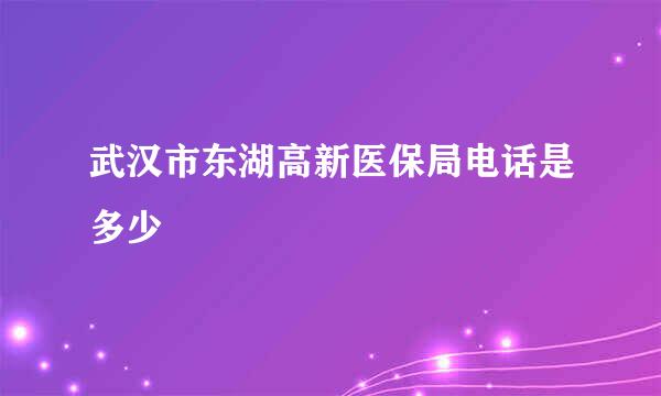 武汉市东湖高新医保局电话是多少