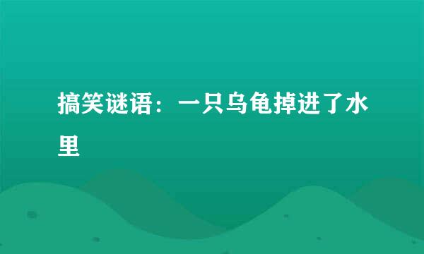 搞笑谜语：一只乌龟掉进了水里