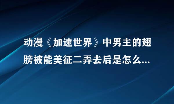 动漫《加速世界》中男主的翅膀被能美征二弄去后是怎么恢复的？