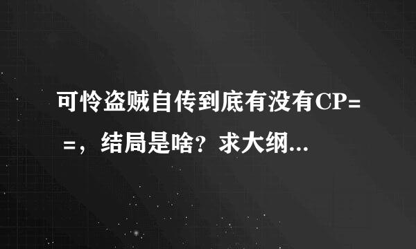 可怜盗贼自传到底有没有CP= =，结局是啥？求大纲~据说不管是BG还是BL都是暧昧？[心：坑爹！]