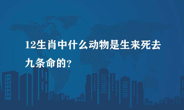 12生肖中什么动物是生来死去九条命的？