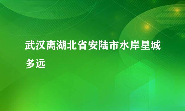 武汉离湖北省安陆市水岸星城多远