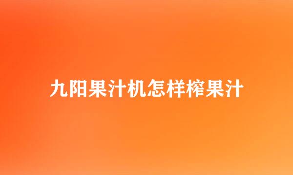 九阳果汁机怎样榨果汁