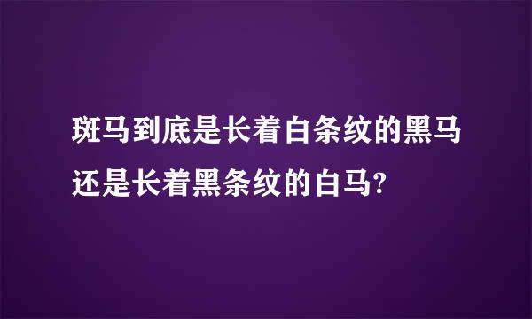 斑马到底是长着白条纹的黑马还是长着黑条纹的白马?