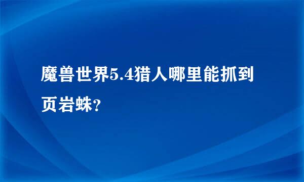 魔兽世界5.4猎人哪里能抓到页岩蛛？