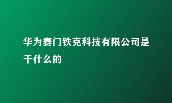 华为赛门铁克科技有限公司是干什么的