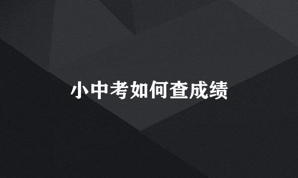 小中考如何查成绩