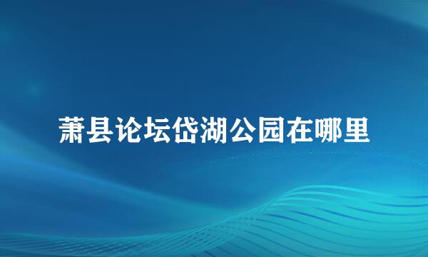 萧县论坛岱湖公园在哪里