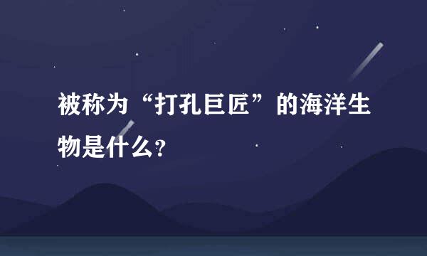 被称为“打孔巨匠”的海洋生物是什么？