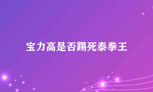 宝力高是否踢死泰拳王