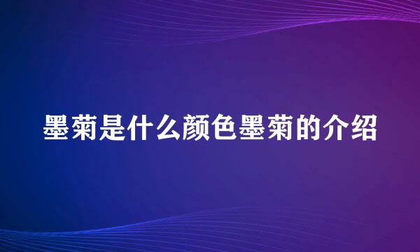 墨菊是什么颜色墨菊的介绍