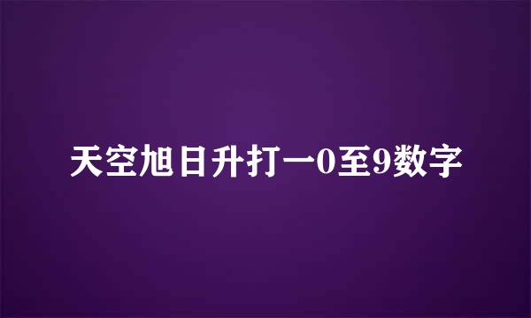 天空旭日升打一0至9数字