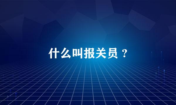 什么叫报关员 ?