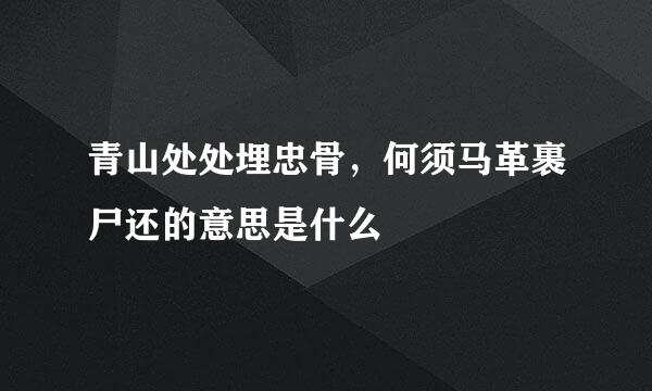 青山处处埋忠骨，何须马革裹尸还的意思是什么