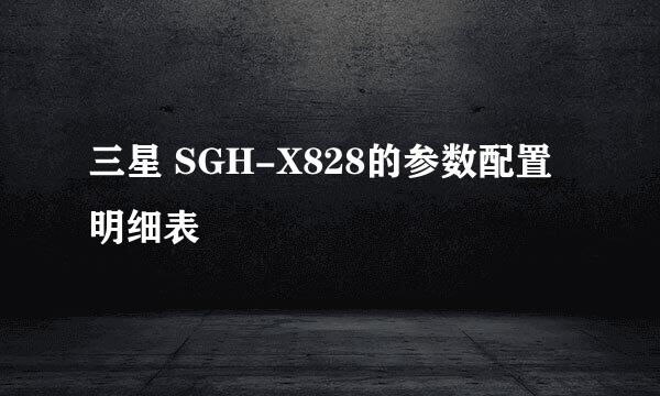 三星 SGH-X828的参数配置明细表