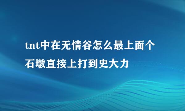 tnt中在无情谷怎么最上面个石墩直接上打到史大力