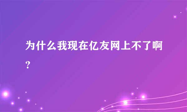 为什么我现在亿友网上不了啊？