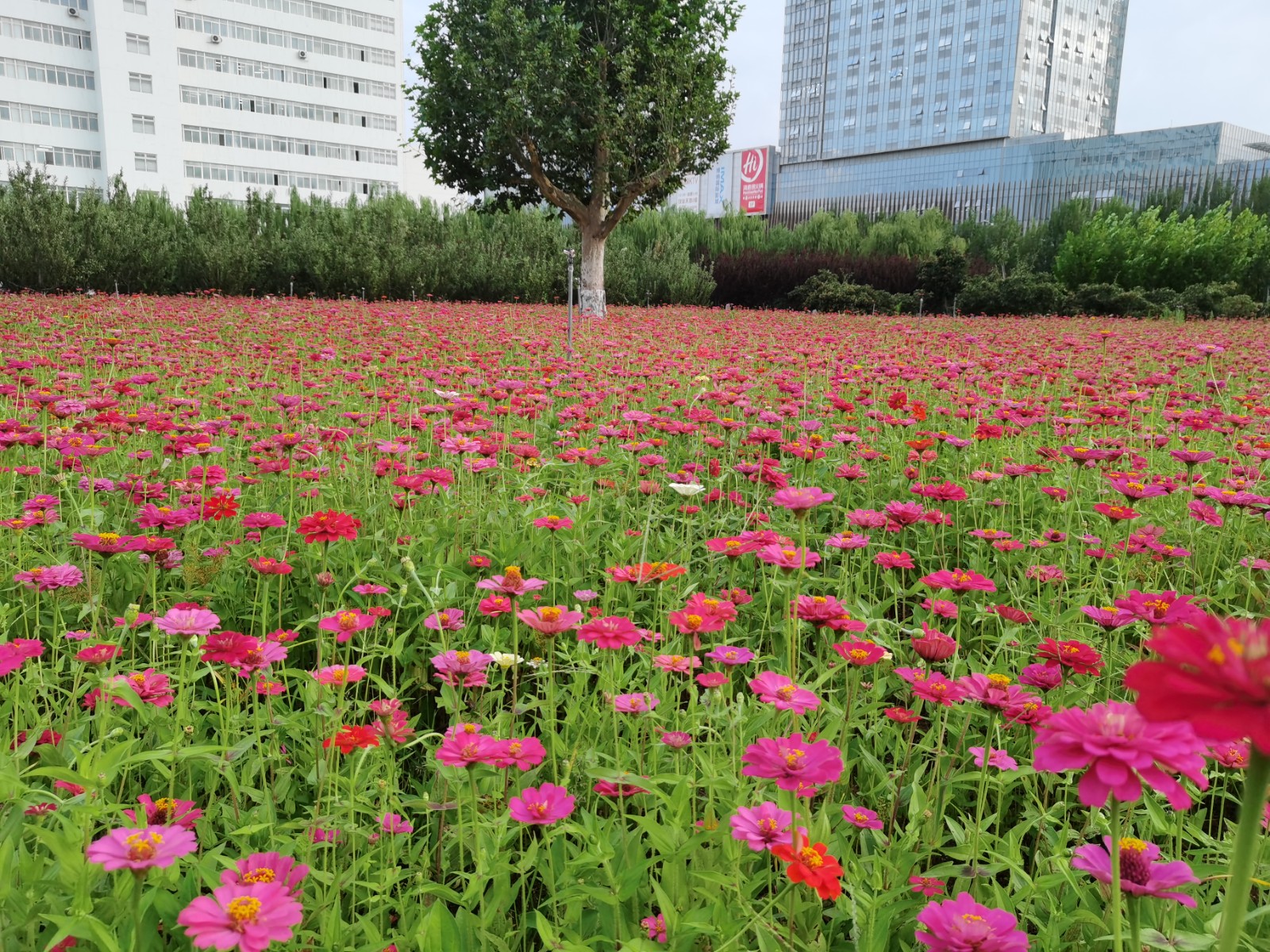 河北科技师范学院好不好