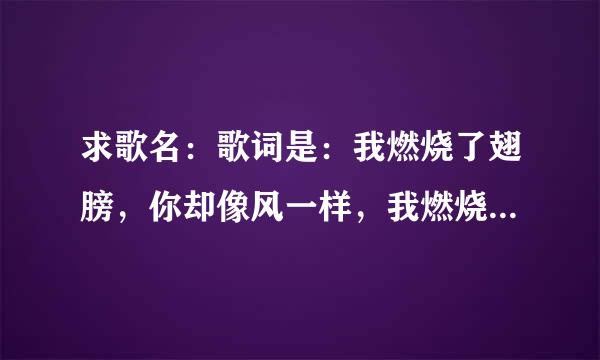 求歌名：歌词是：我燃烧了翅膀，你却像风一样，我燃烧了翅膀，到不了你身旁