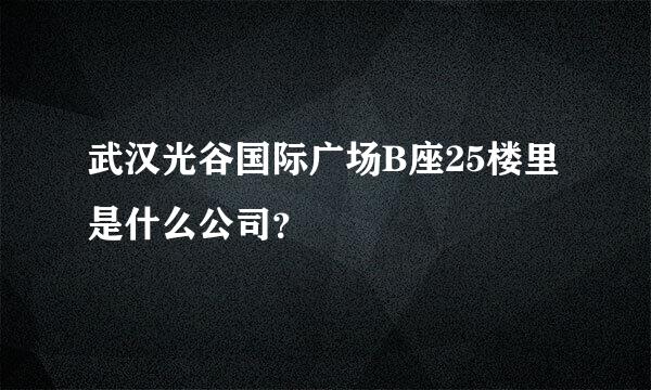 武汉光谷国际广场B座25楼里是什么公司？