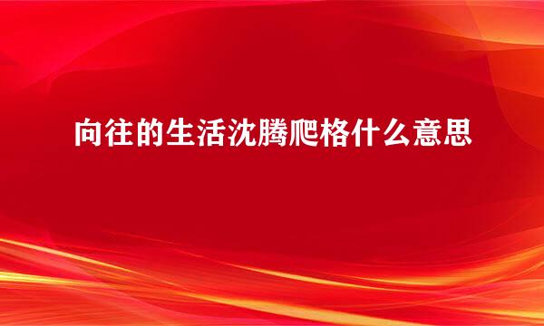 向往的生活沈腾爬格什么意思