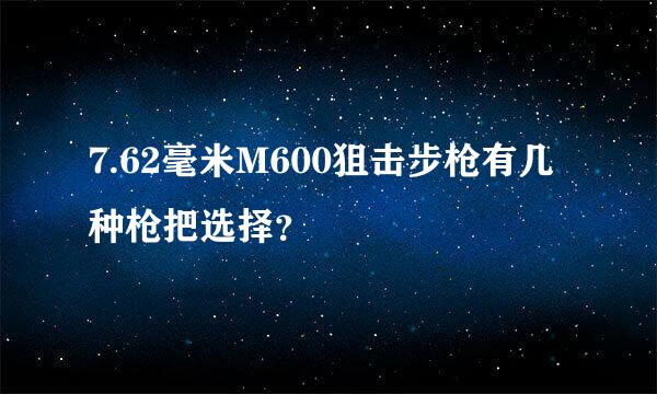 7.62毫米M600狙击步枪有几种枪把选择？