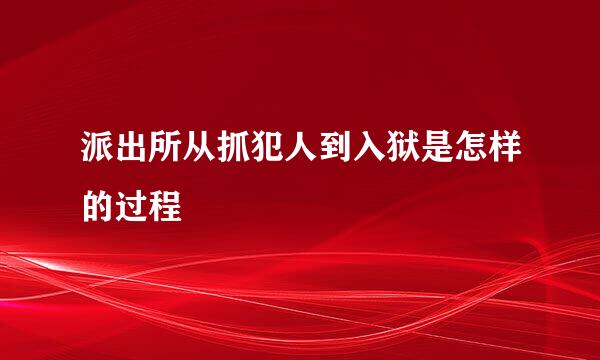 派出所从抓犯人到入狱是怎样的过程