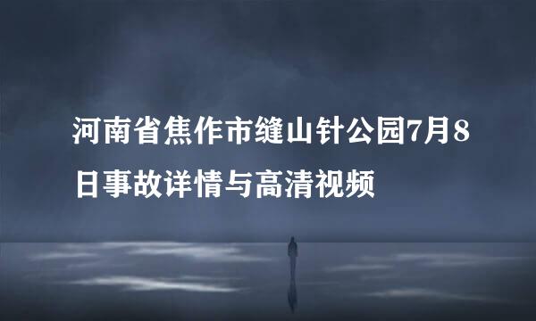 河南省焦作市缝山针公园7月8日事故详情与高清视频