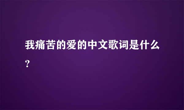 我痛苦的爱的中文歌词是什么？