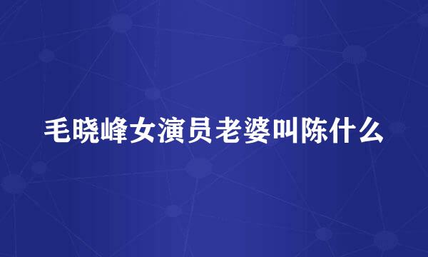 毛晓峰女演员老婆叫陈什么