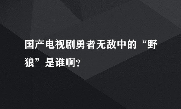 国产电视剧勇者无敌中的“野狼”是谁啊？