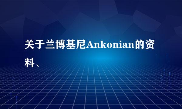 关于兰博基尼Ankonian的资料、