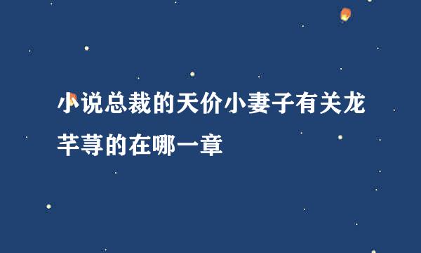 小说总裁的天价小妻子有关龙芊荨的在哪一章