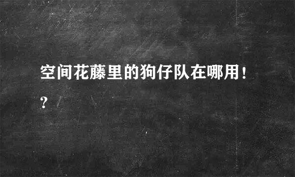 空间花藤里的狗仔队在哪用！？