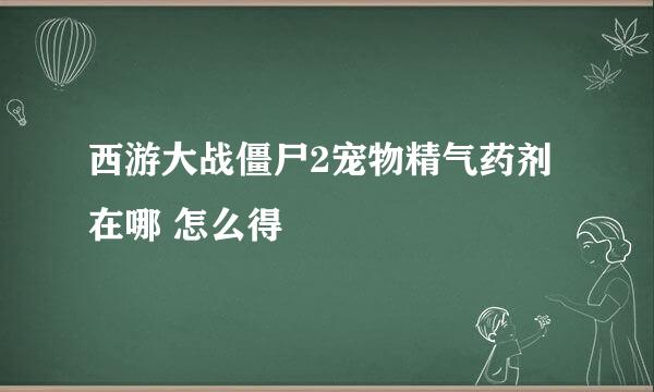 西游大战僵尸2宠物精气药剂 在哪 怎么得