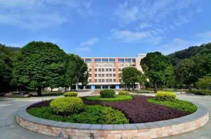 母校是小学初中还是大学?