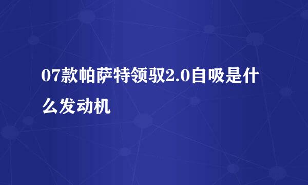 07款帕萨特领驭2.0自吸是什么发动机