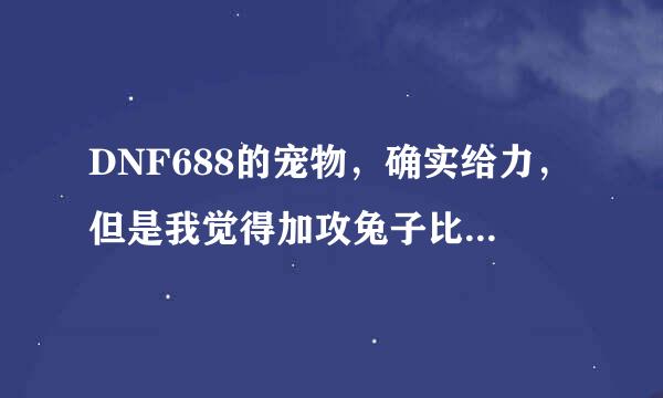 DNF688的宠物，确实给力，但是我觉得加攻兔子比他更好……