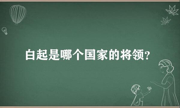 白起是哪个国家的将领？