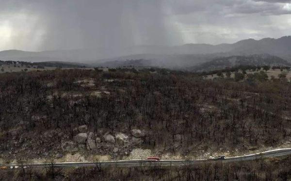 澳洲终于下雨了，大火也结束了，为啥当地人更难过？