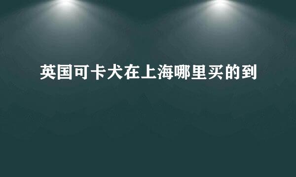 英国可卡犬在上海哪里买的到