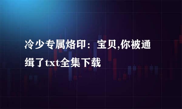 冷少专属烙印：宝贝,你被通缉了txt全集下载