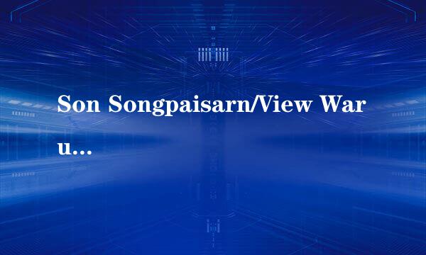 Son Songpaisarn/View Warunro Sontichai 他们俩还演哪些连续剧?