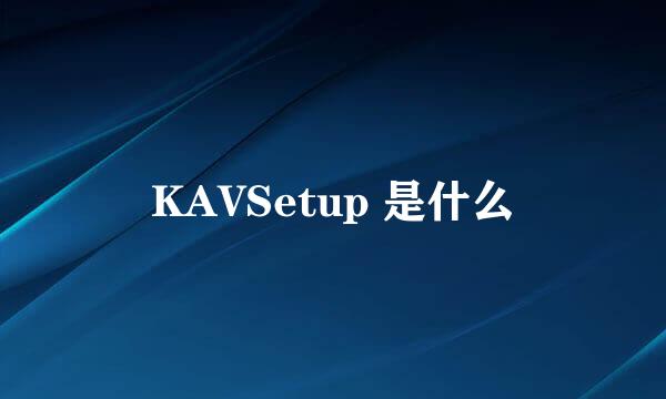 KAVSetup 是什么