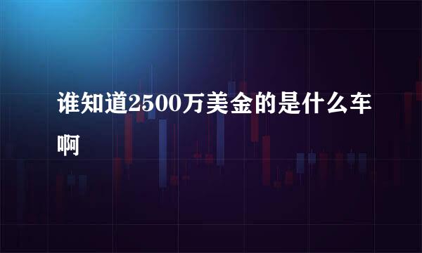 谁知道2500万美金的是什么车啊