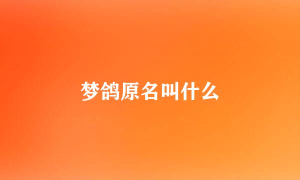 梦鸽原名叫什么