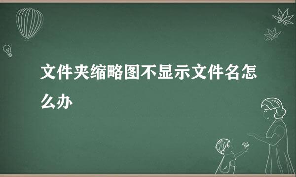 文件夹缩略图不显示文件名怎么办