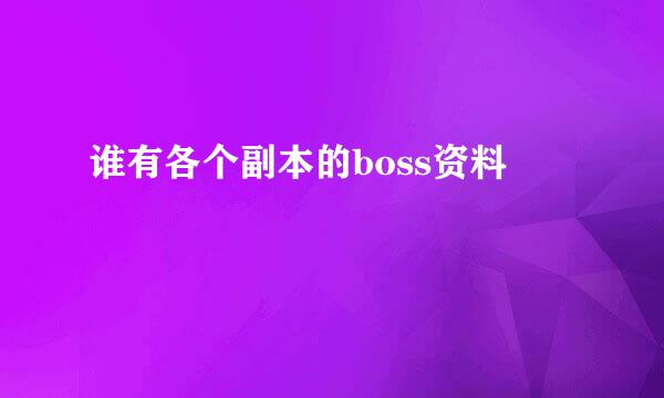 谁有各个副本的boss资料