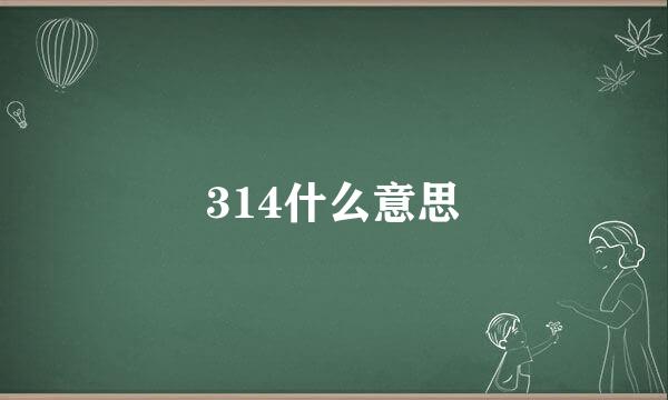 314什么意思